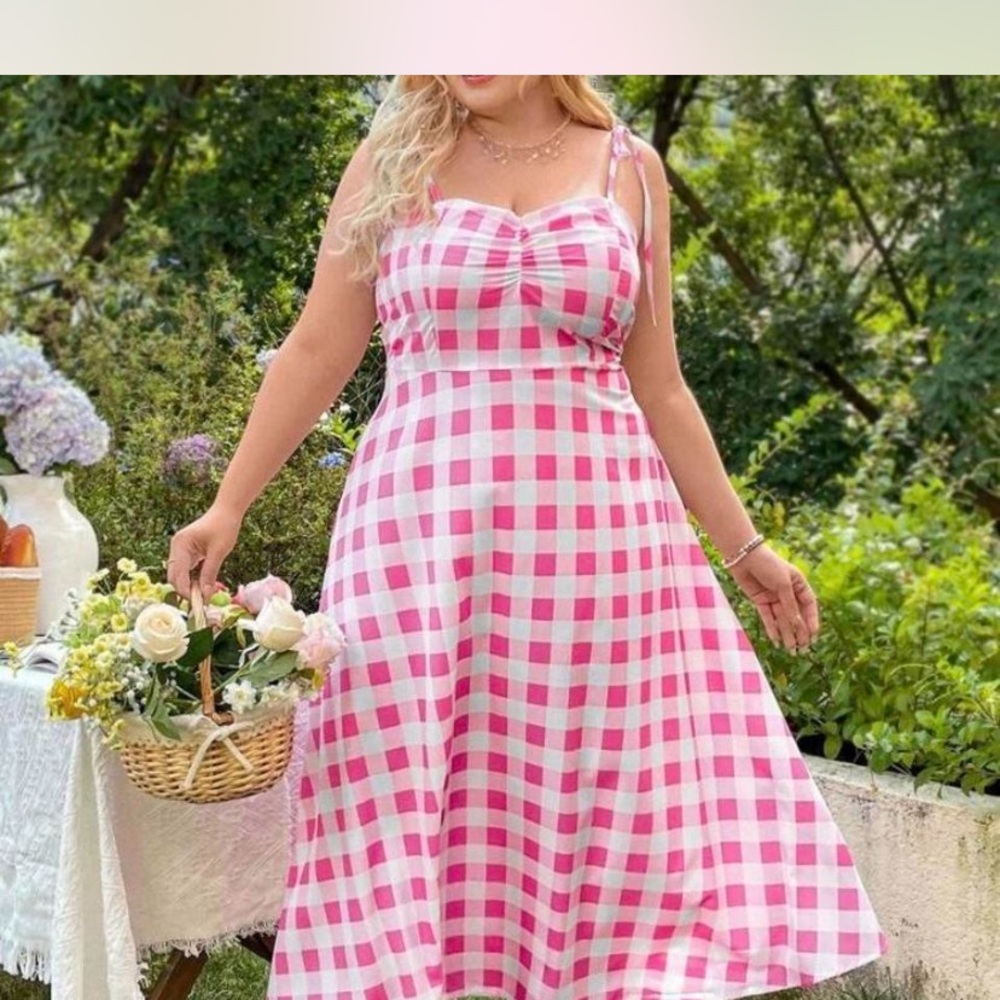 Modcloth Pink and White Gingham Maxi Dress